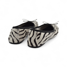 Load image into Gallery viewer, Zebra Pony Skin