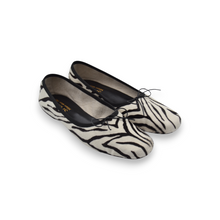 Load image into Gallery viewer, Zebra Pony Skin