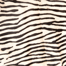 Load image into Gallery viewer, Zebra Pony Skin