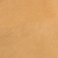 Cavallino Beige